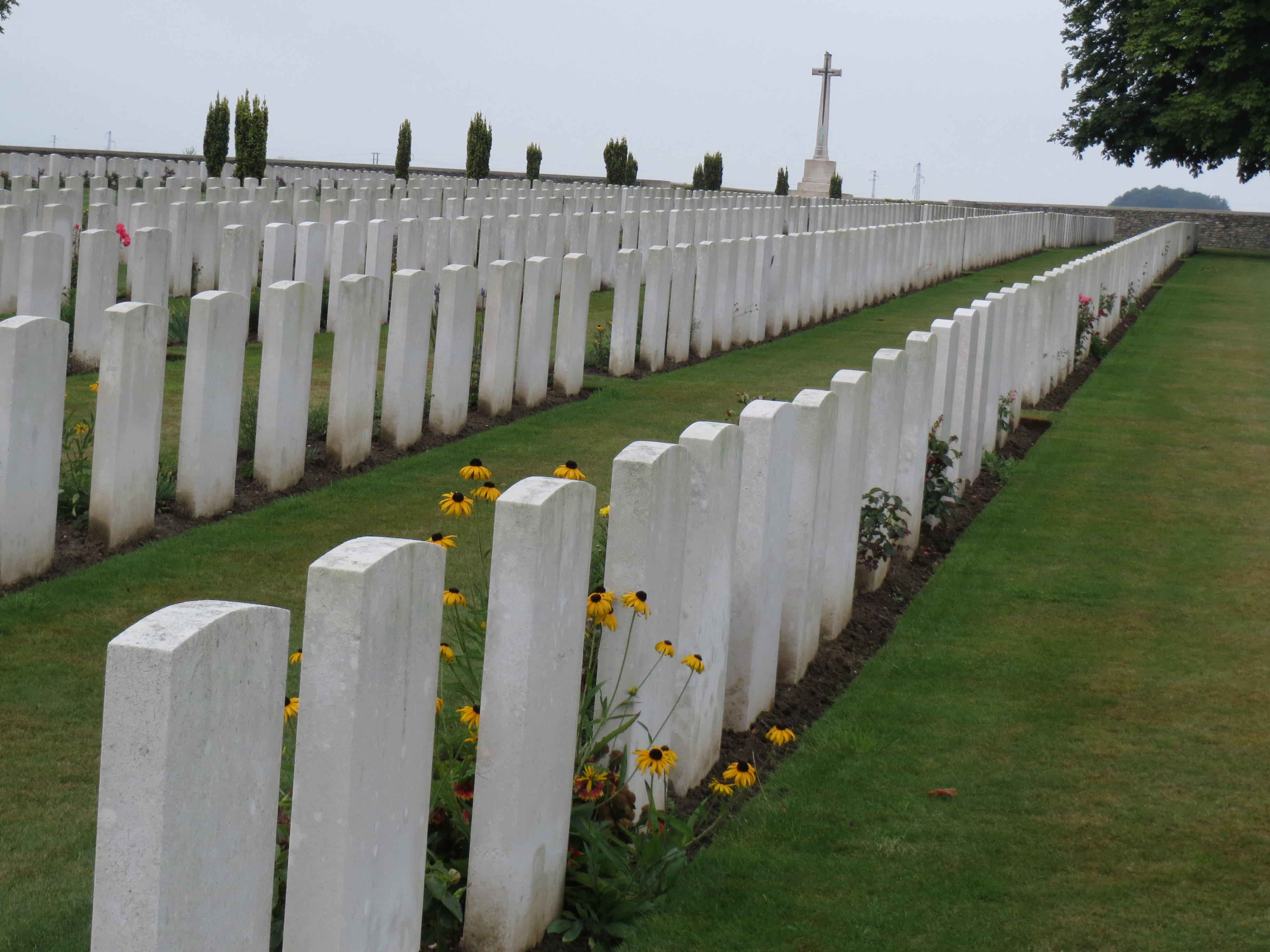 Flanders Fields